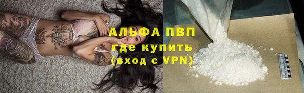 бошки Кедровый