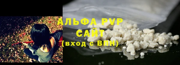 сатива Надым