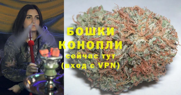 сатива Надым