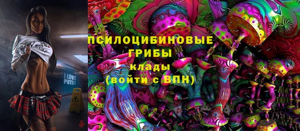 сатива Надым