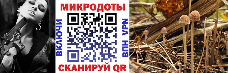 Псилоцибиновые грибы ЛСД  Печоры 